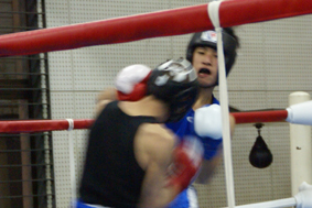東京都アマチュアボクシングオープン戦06