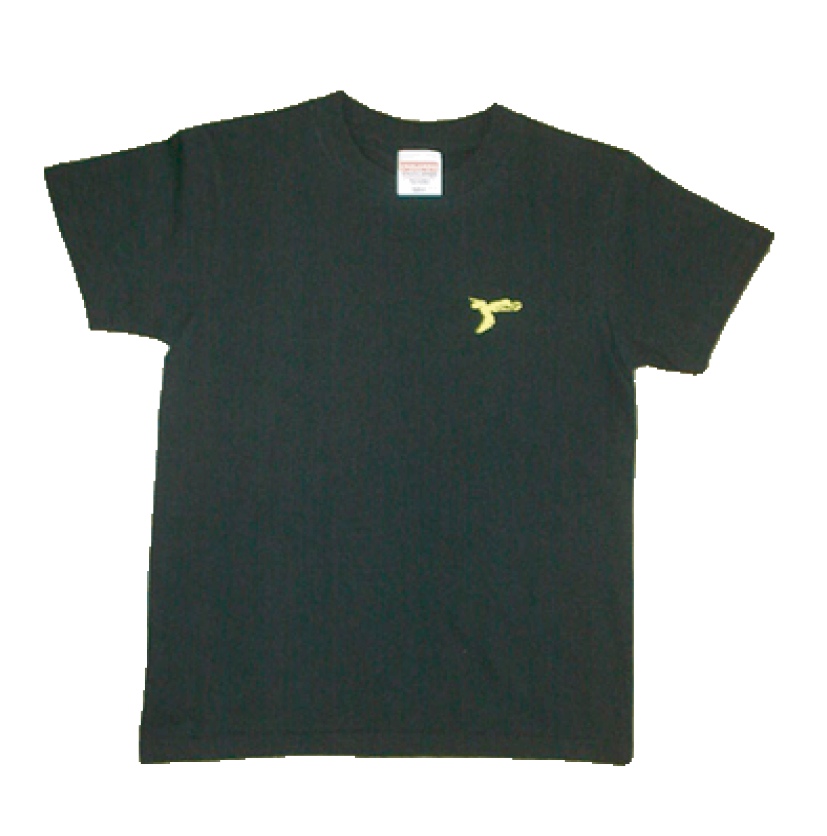 T001